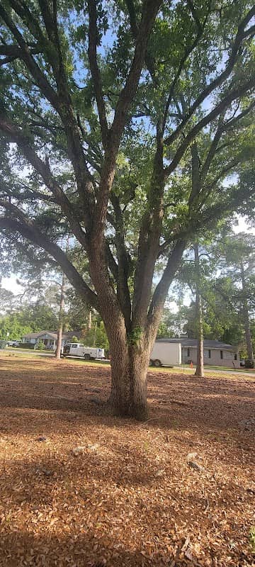 Fair Rd Park - Image 1