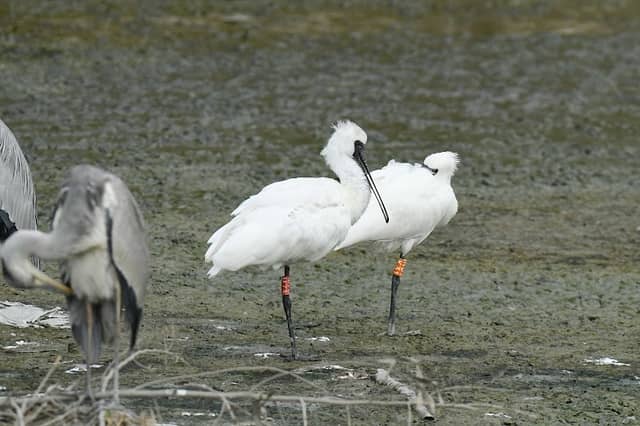 Triangle Pond - Image 1
