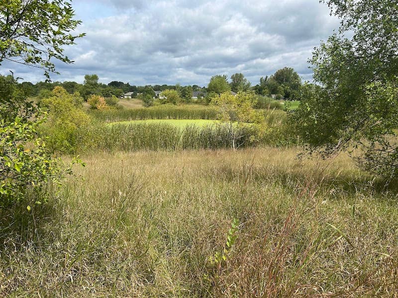 Wilson Preserve - Image 1