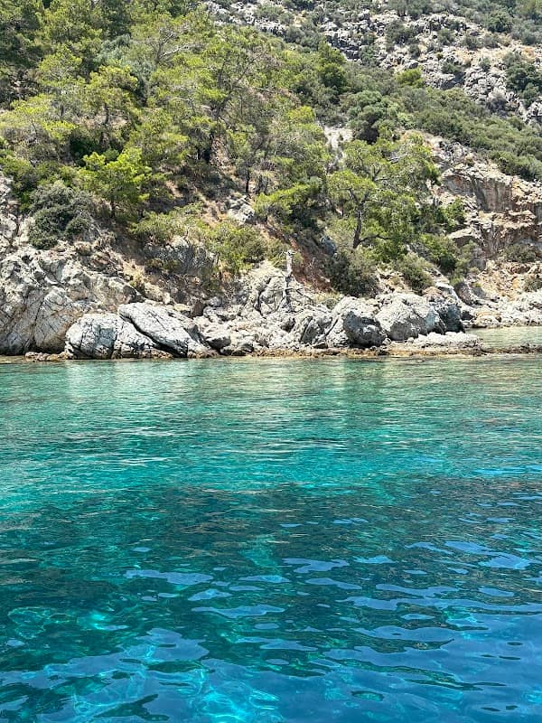 Berilbükü - Image 1