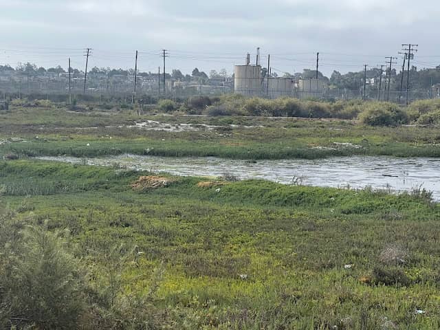 Los Cerritos Wetlands - Image 3