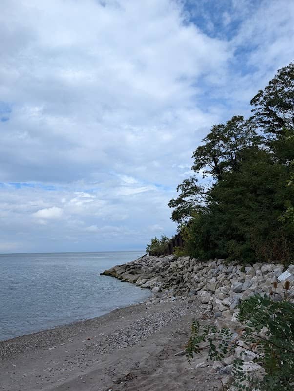 Kenny Yuko Park - Image 1