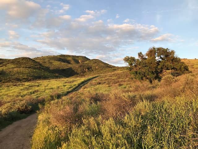 Lang Ranch Open Space - Image 1