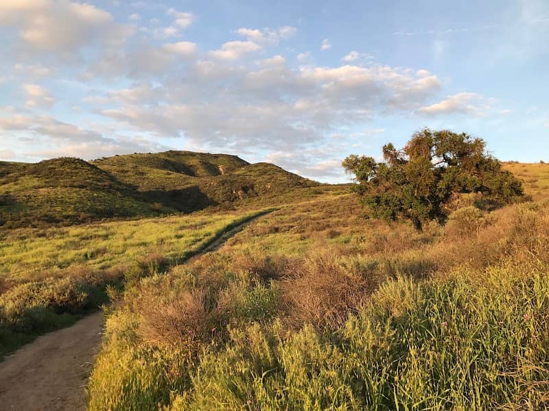 Lang Ranch Open Space - Image 1
