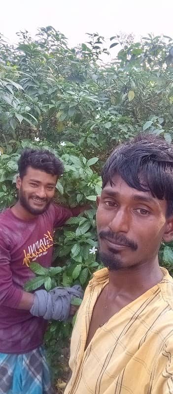 সুইচগেট (দড়িচর) - Image 1