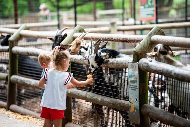 Grant's Farm - Image 2