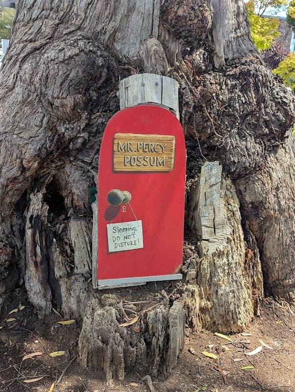 Percy the Possum’s house - Image 1