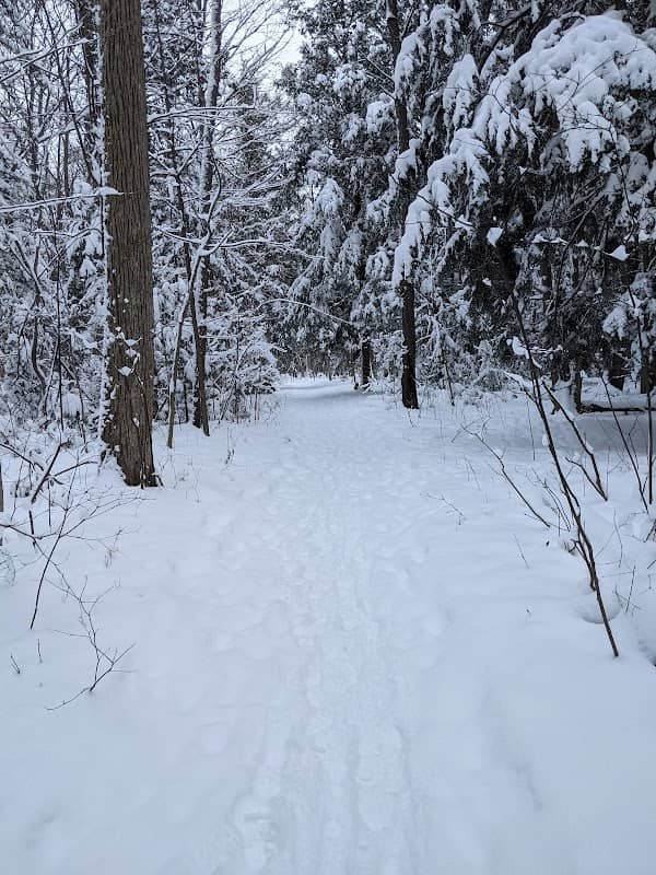 Marden Tract - Image 1
