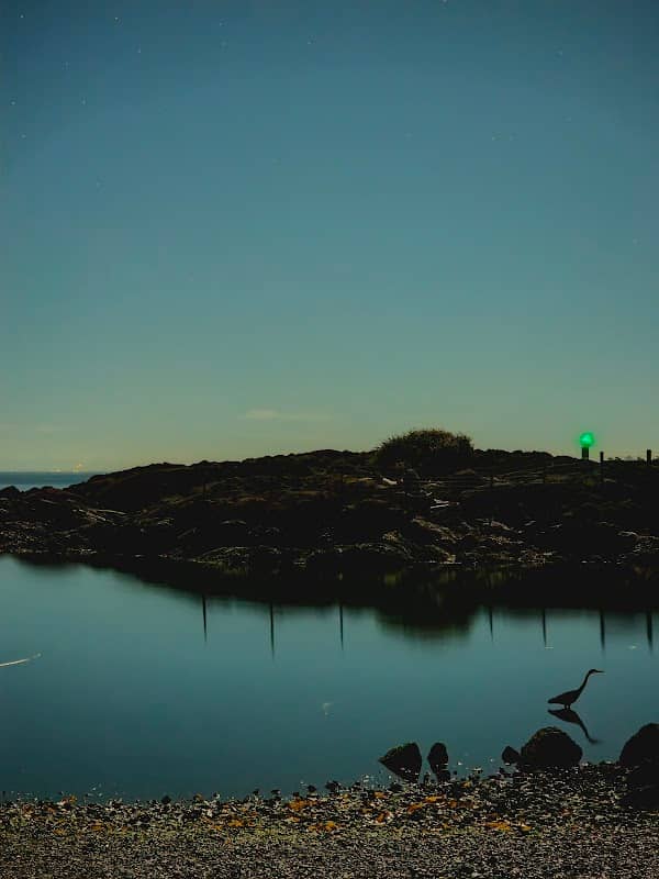 Easternmost Point of Vancouver Island - Image 2