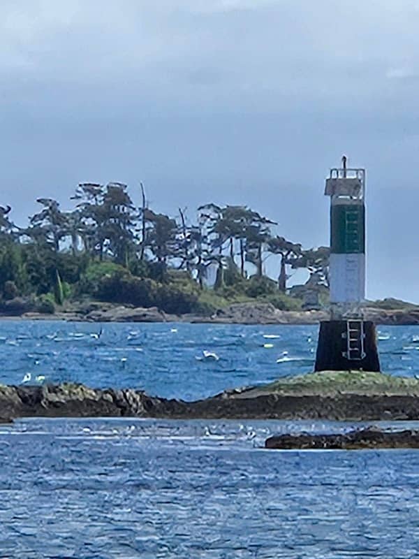Easternmost Point of Vancouver Island - Image 1