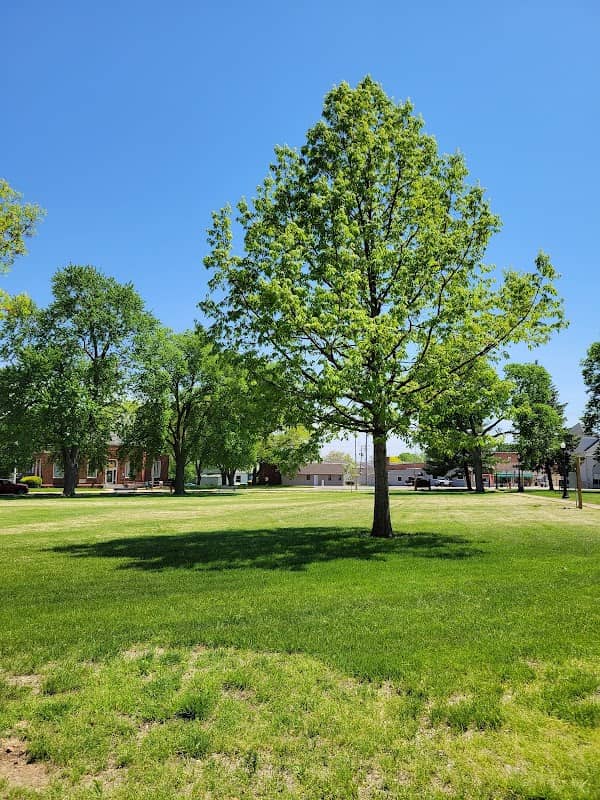 City Park - Image 1