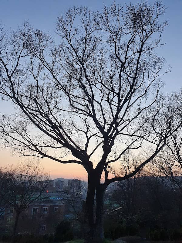 송정공원 - Image 1