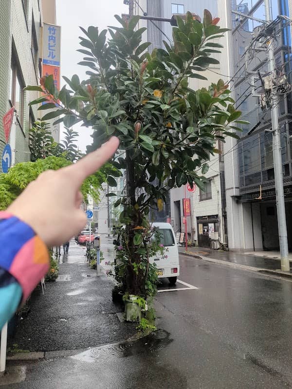 Giant Plant of Tokyo - Image 3