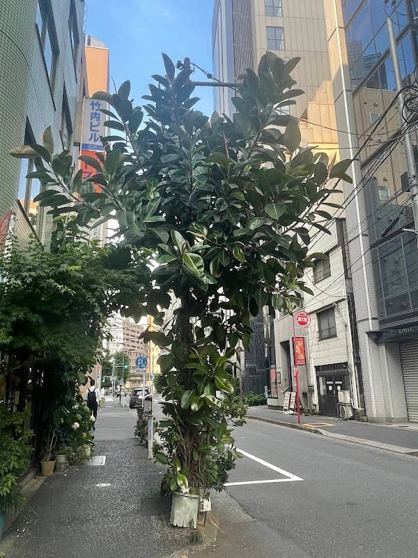 Giant Plant of Tokyo - Image 1