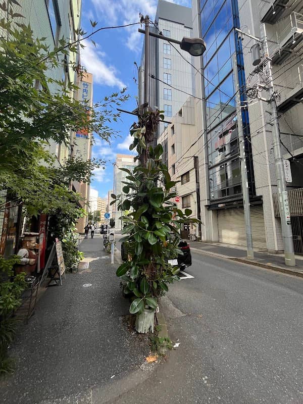 Giant Plant of Tokyo - Image 2