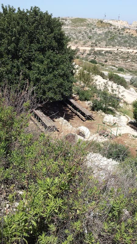 גן החרוב - Image 1