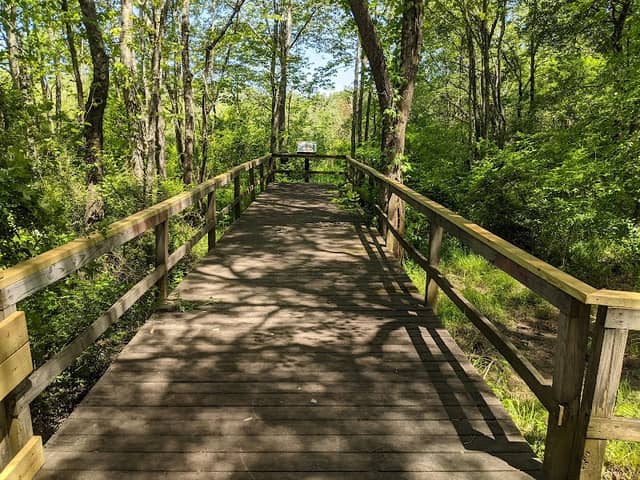 Oklawaha Greenway Trail-Patton Park Access - Image 2
