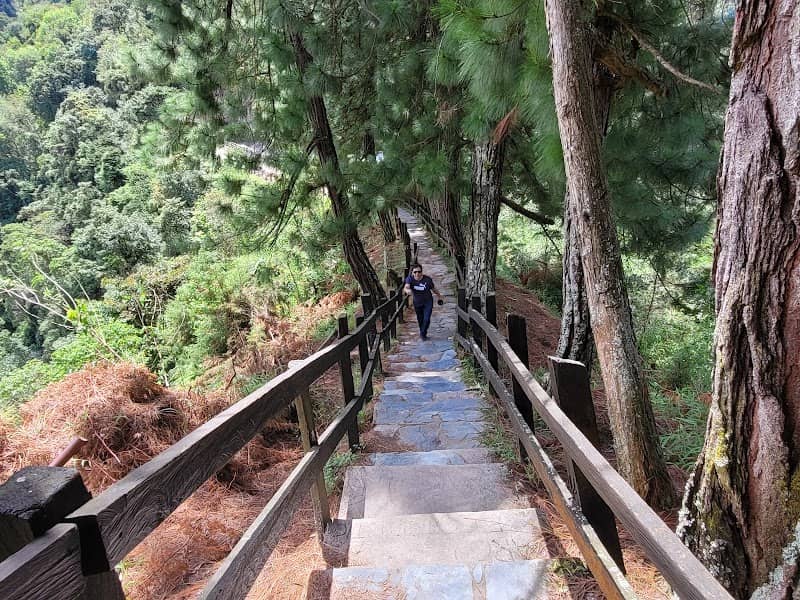 Mirador Los Sauces - Image 3