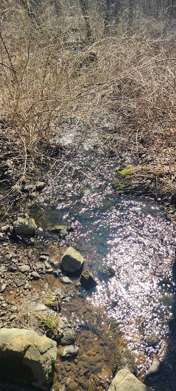 Chorney Property - Image 1