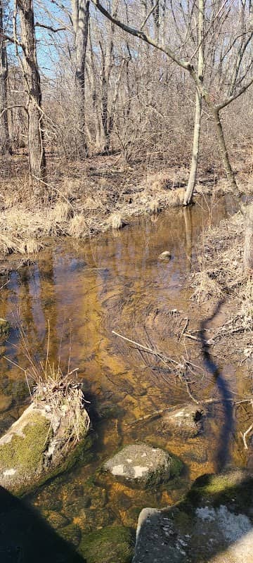 Chorney Property - Image 2