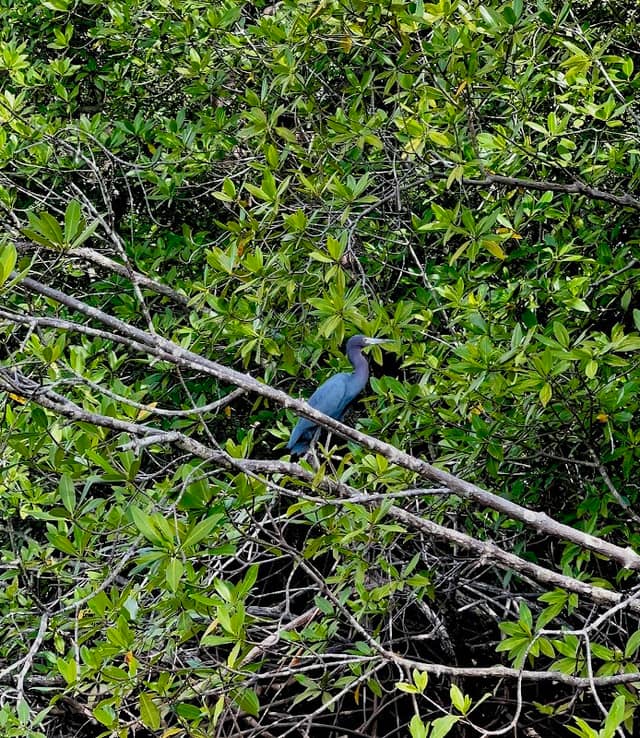 ChungoNatureTours - Image 2