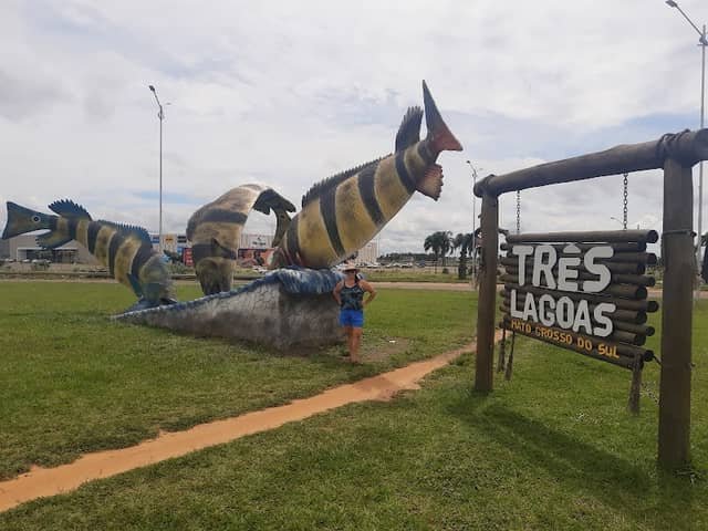 Monumento o tucunaré - Image 1