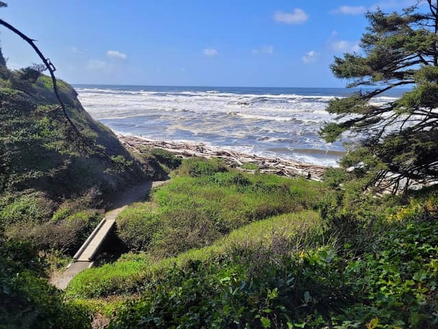 Kalaloch Beach 3 - Image 1