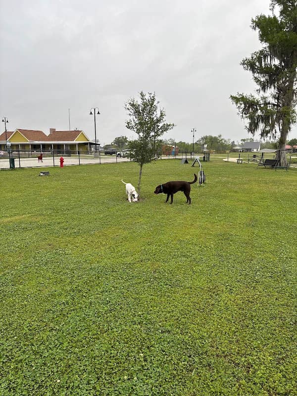 Coteau Bayou Blue Park - Image 1