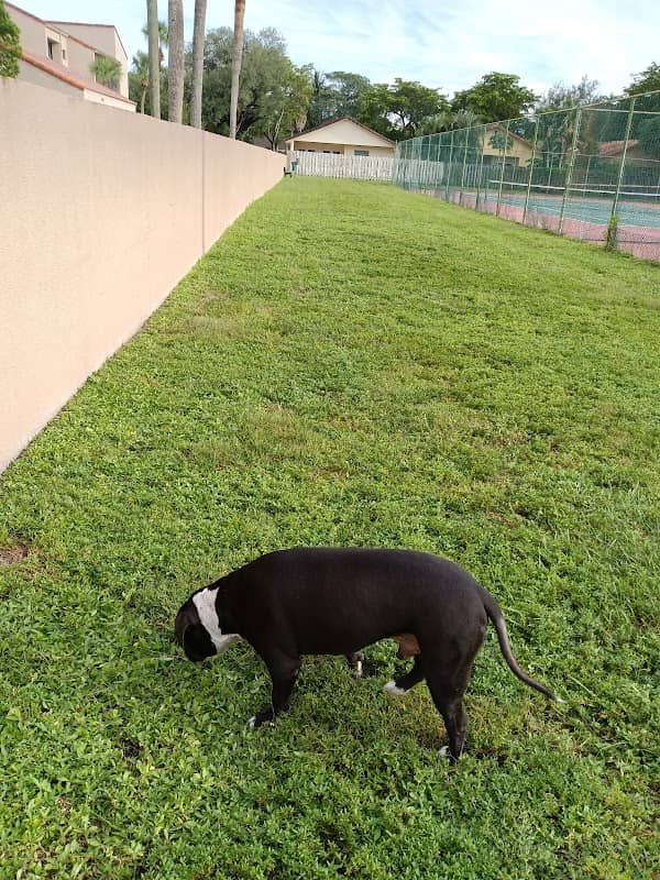 Happy Tappy Dog Park - Image 1