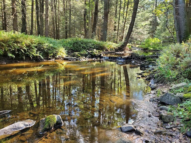 McCalls Dam State Park - Image 1