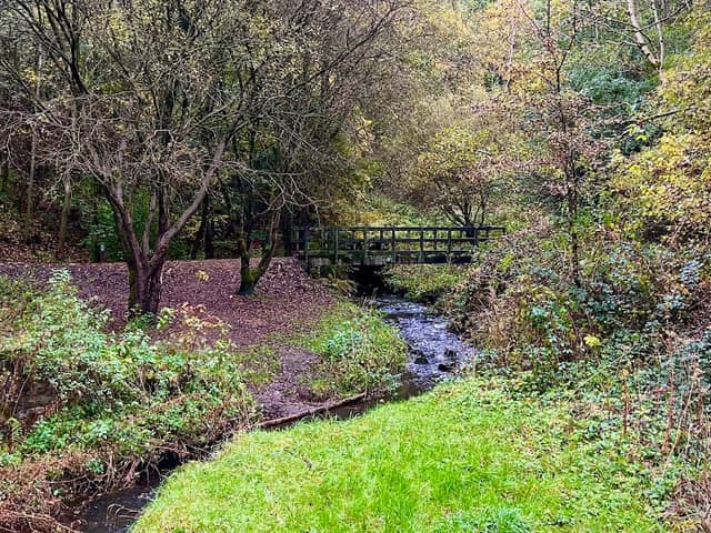 Wellyhole Park - Image 2