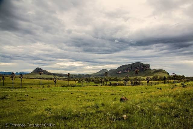 Parque Nacional da Chapada dos Veadeiros - Image 1