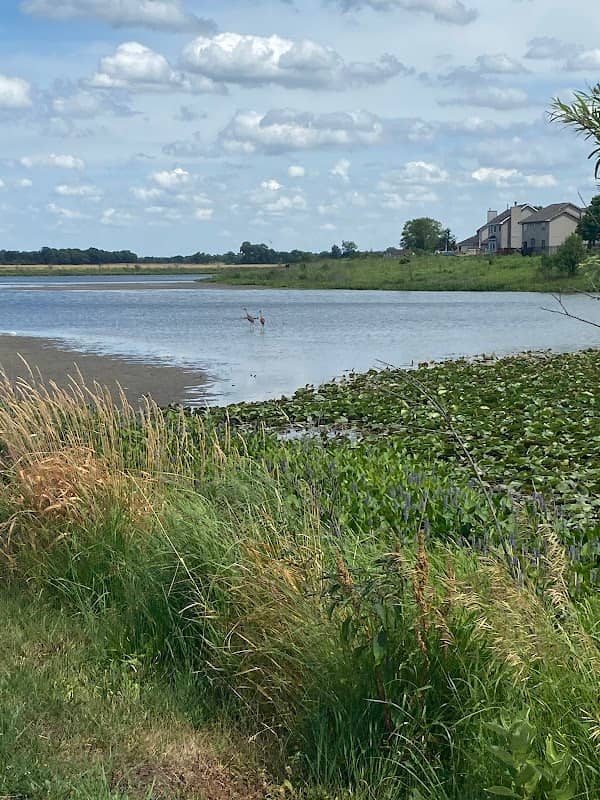 Ivan Gatlin Nature Preserve - Image 2