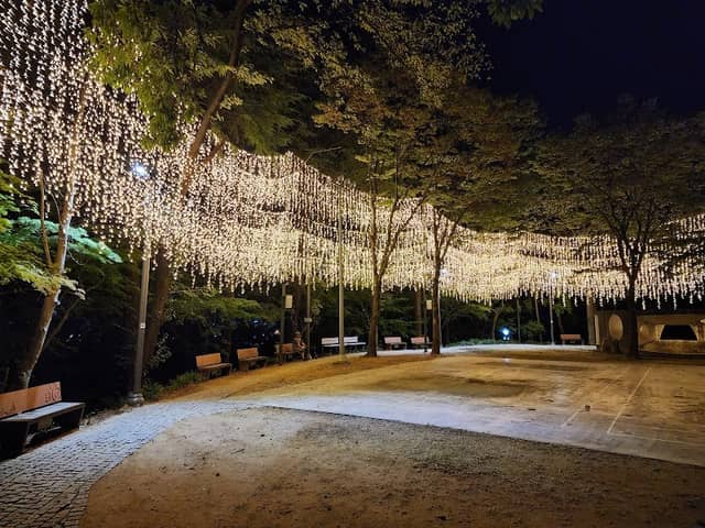 사직빛의숲 - Image 1