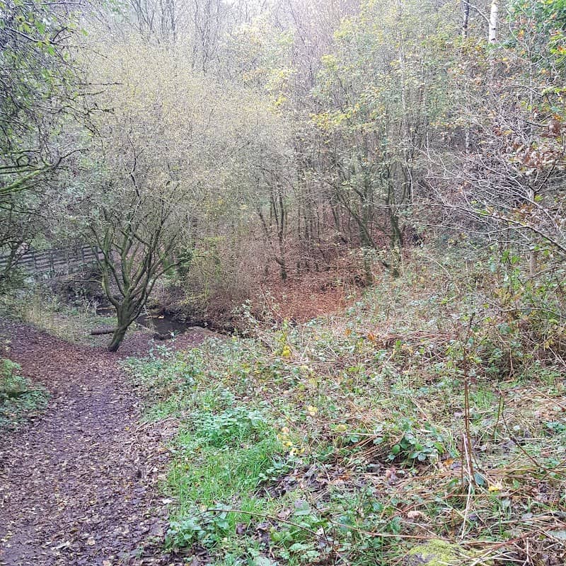 Lees Brook Nature Park - Image 1