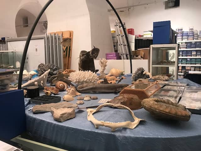 Shell museum and Water World - Image 1
