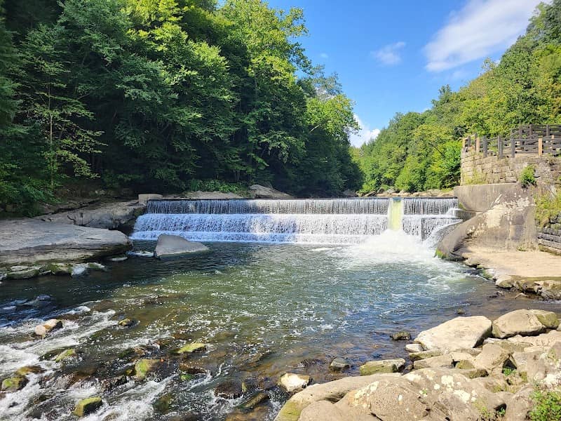 McConnell's Mill Dam - Image 1