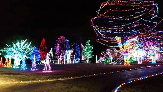 Margaret Haskell Davis Park - Image 2