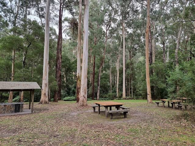 Sheoak Picnic Area - Image 1