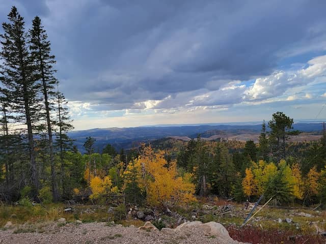 Terry Peak Summit - Image 1