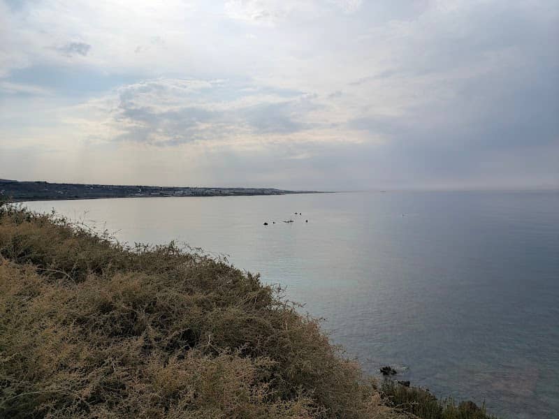 Viewpoint - Image 1