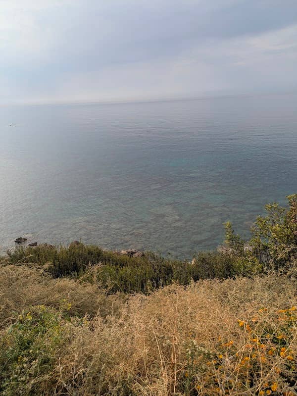 Viewpoint - Image 2