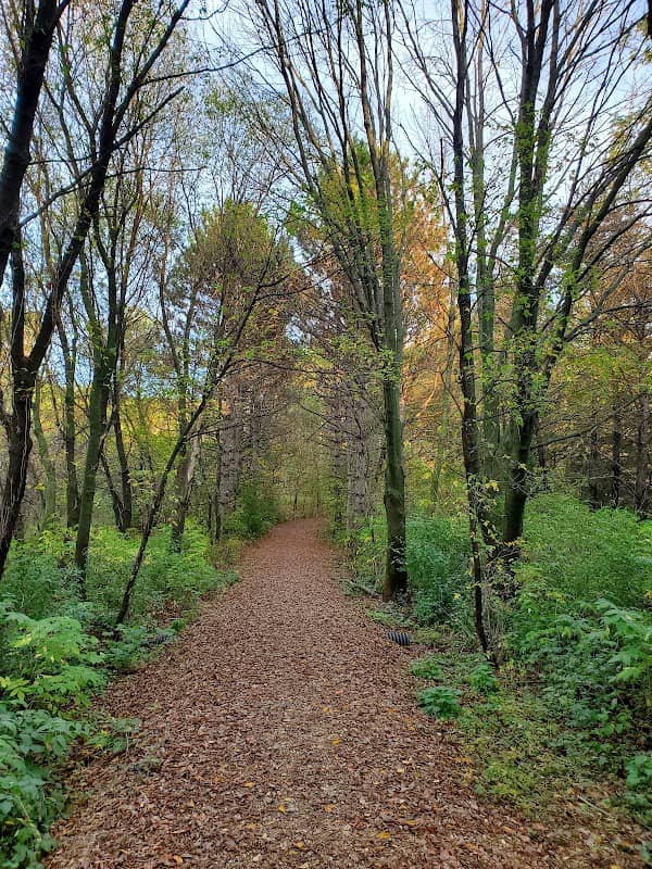 Glover Park - Image 1