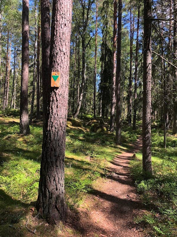 Rösjöskogens naturreservat - Image 2