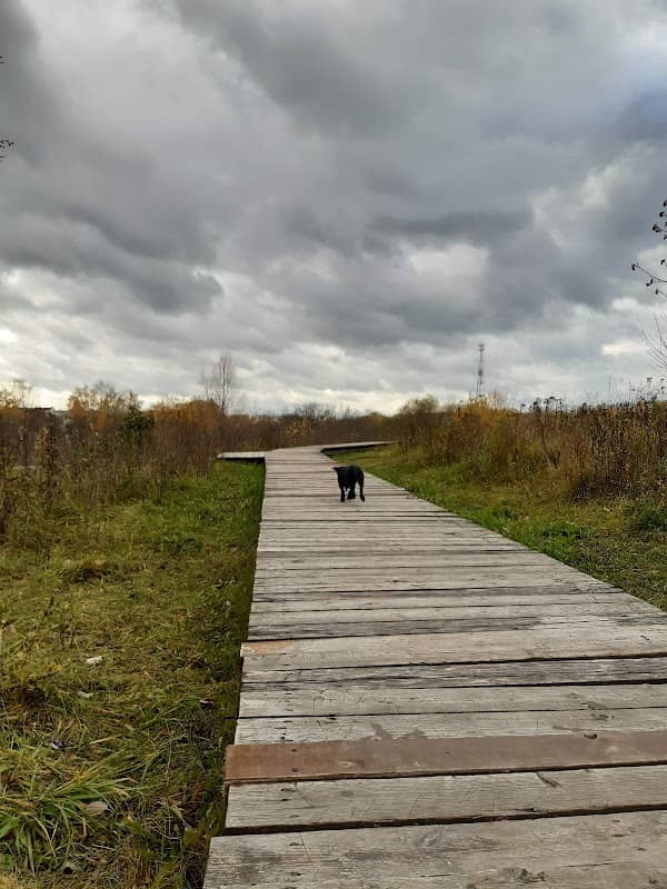 Park Dolina Reki Skhodni - Image 1