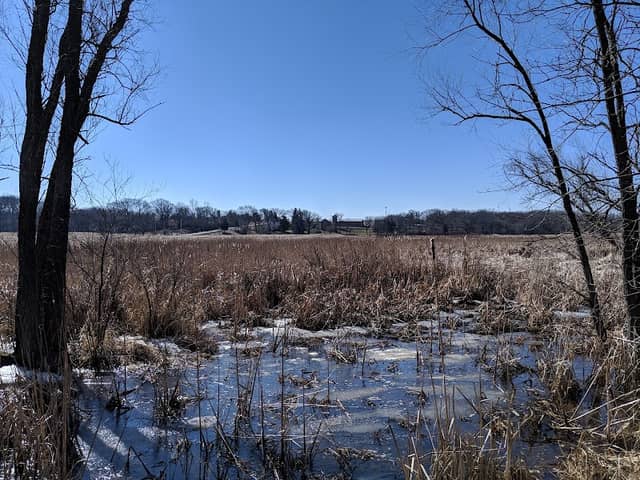 New Munster Wildlife Area - Image 1
