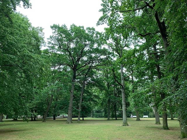 Kur Park - Image 2