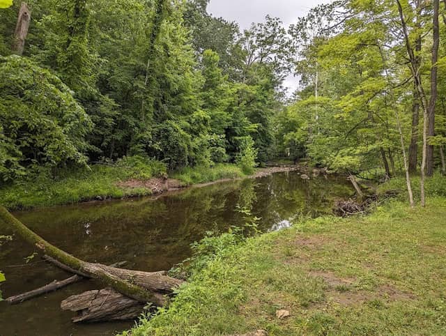 Beaver Creek Trail End - Image 2