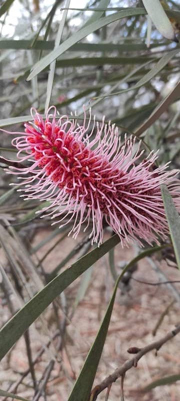 Broadway Reserve - Image 1