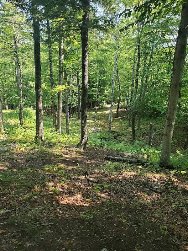 Kids Adventure Trailhead - Image 2